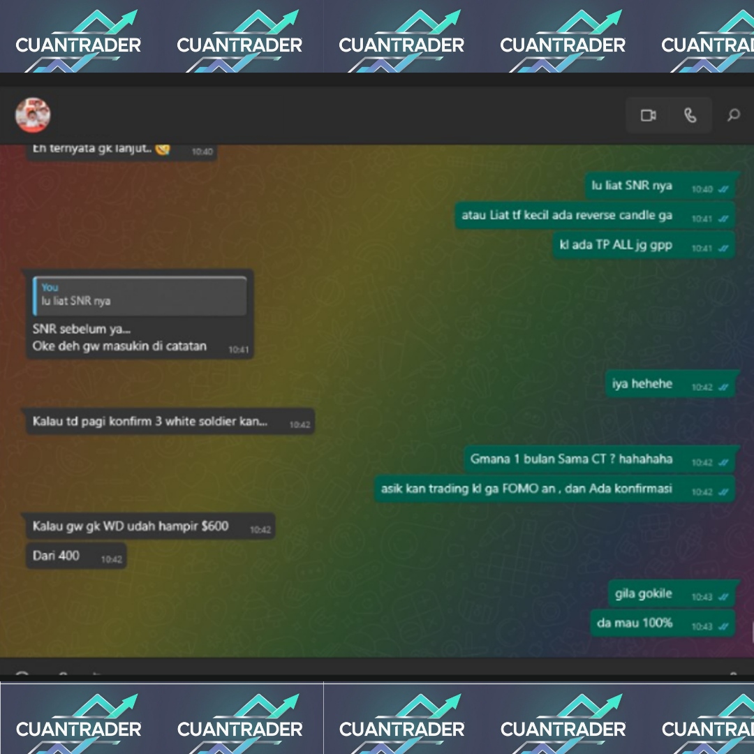 testimoni trading cuantrader