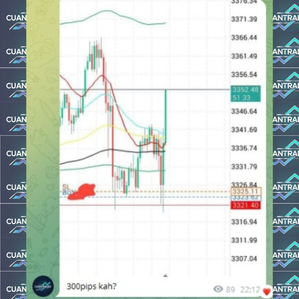 testimoni trading cuantrader