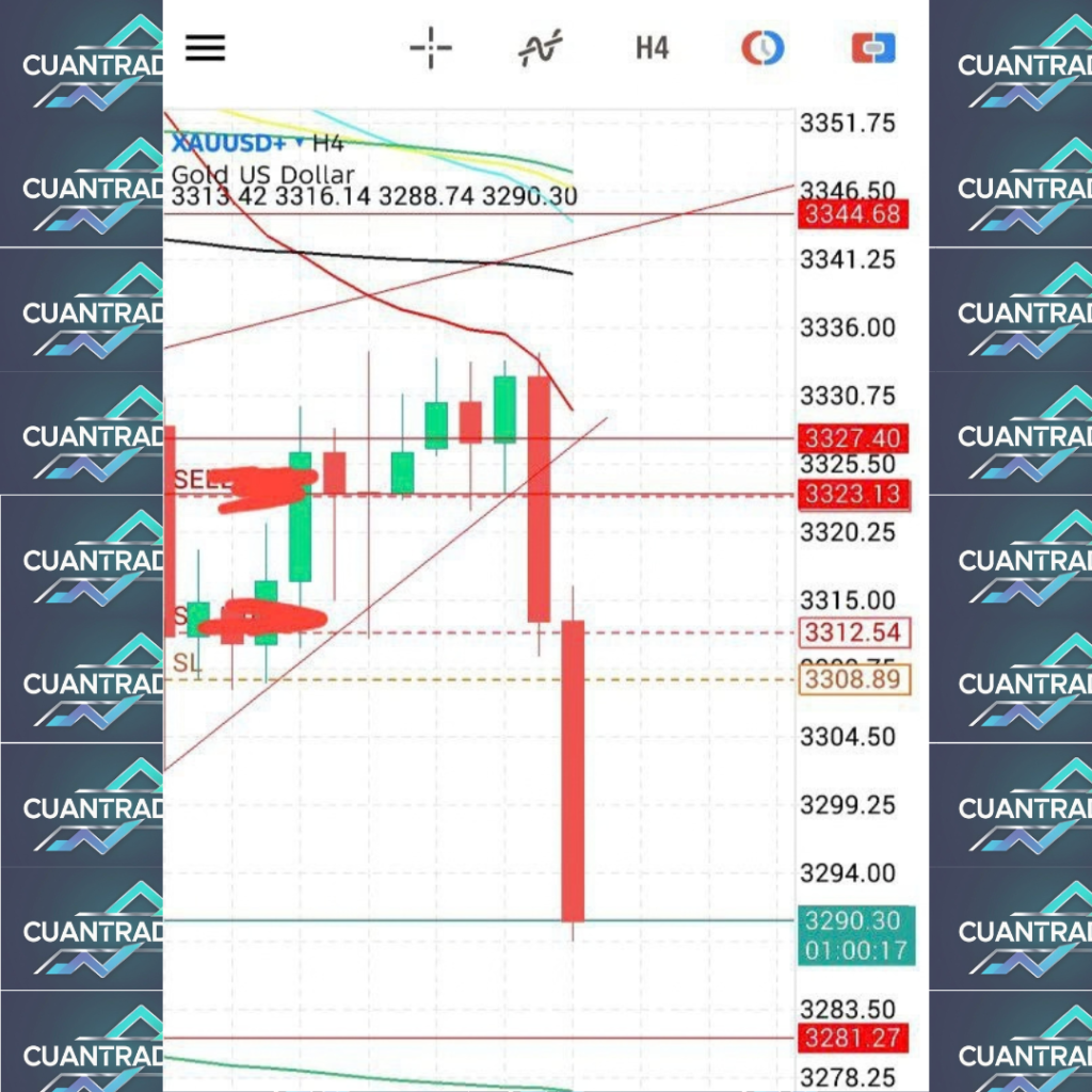 testimoni trading cuantrader